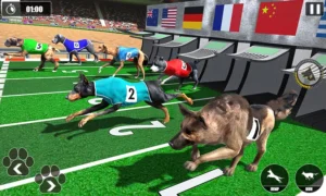 Cách Chơi Game Nhanh Đua Chó Tại GO88 Dành Cho Tân Thủ