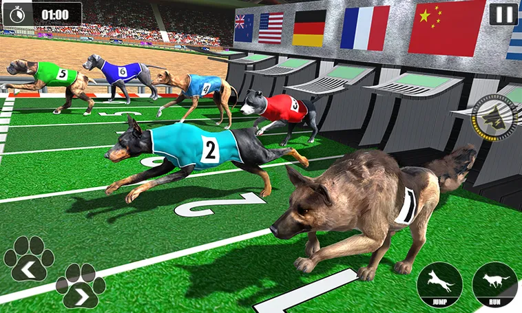 Cách Chơi Game Nhanh Đua Chó Tại GO88 Dành Cho Tân Thủ